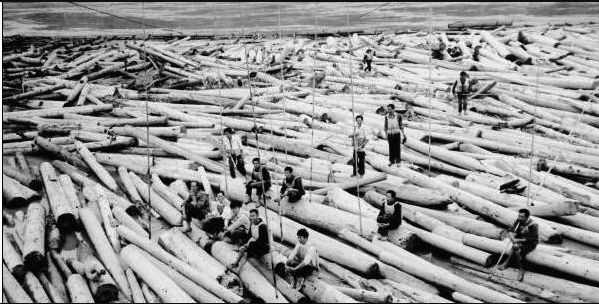 鏂瑰織鍥涘窛鍘嗗彶瑙嗛,鏂瑰織鍥涘窛