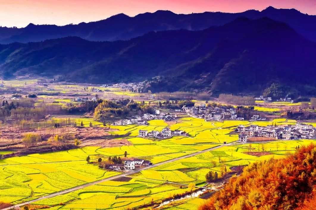 这家扎根在花海的悦榕庄即将迎来暖意春天！千元直降还含SPA,高铁1.5h!