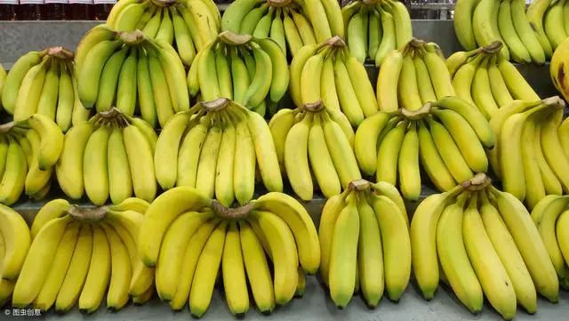 广东特色十大水果,湛江八大水果你知道吗