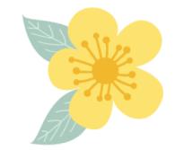 上林旅游打卡地,上林游玩景点推荐