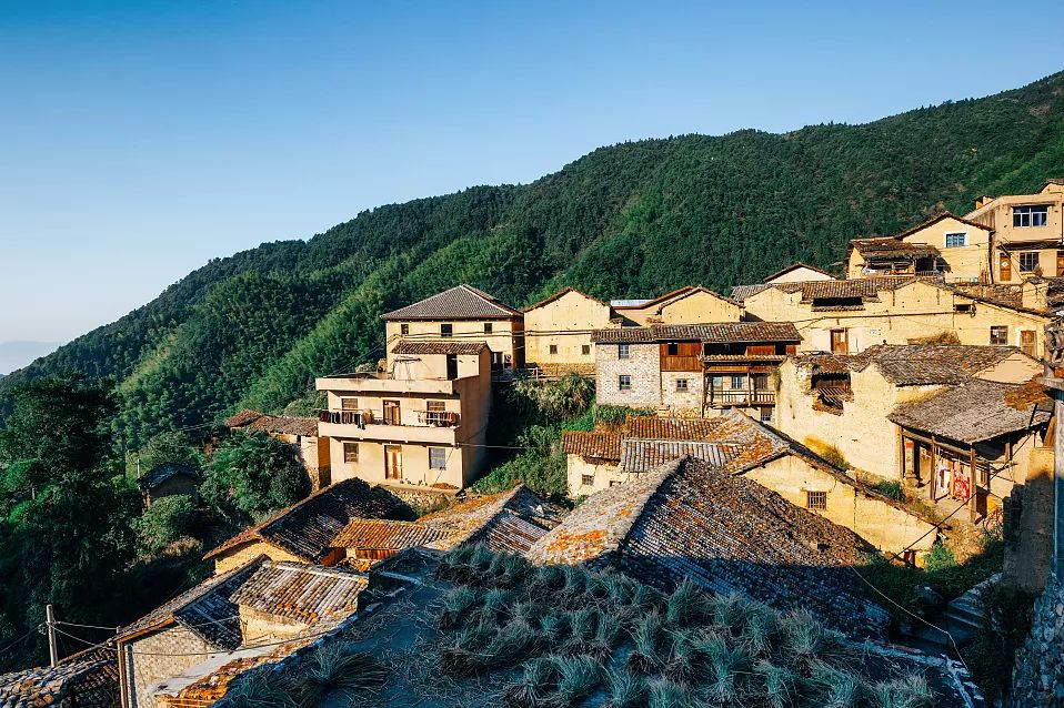 躲入小楼成一统,躲进小楼成一统的含义