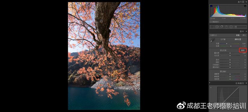 lr新手入门教学推荐,lr怎么做稳定