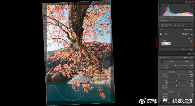 lr新手入门教学推荐,lr怎么做稳定