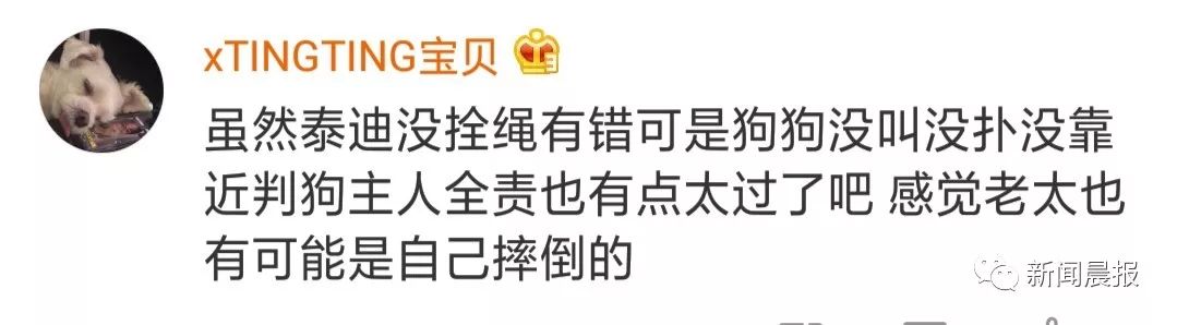 又是遛狗不牵绳！泰迪起身走了两步吓得老人摔成9级伤残，狗主人被判赔20万！