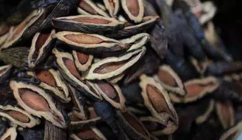 国家关于槟榔的最新消息,疯狂槟榔