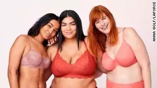 维密衰败原因,维密总共有多少家店