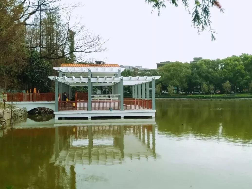 Oh~中山人熟悉的这个公园已经大变样，竟如此漂亮！（送20积分）