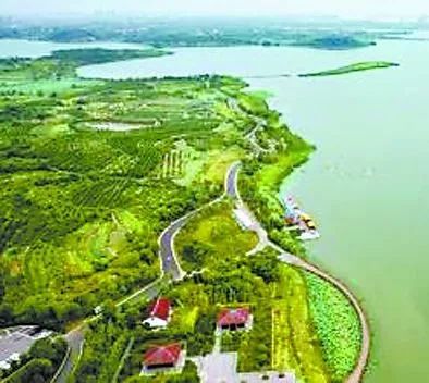 武汉六大湿地公园,百湖之市武汉