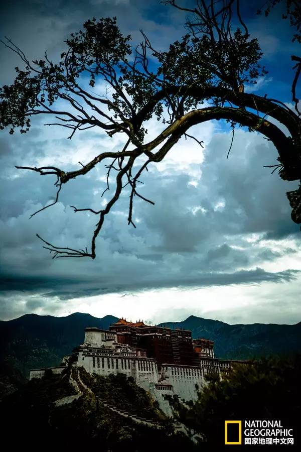 藏漂是什么,藏漂的真实生活