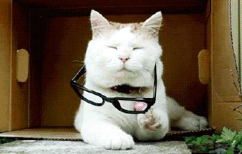 提醒丨日本网红眼药水含有害成分在国外禁售！还有哪些眼药水不能用？