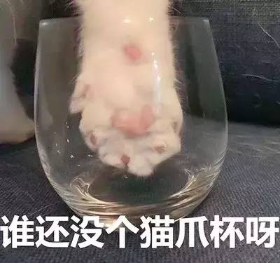 星巴克春季樱花限定版,星巴克新品樱花花瓣你值得拥有