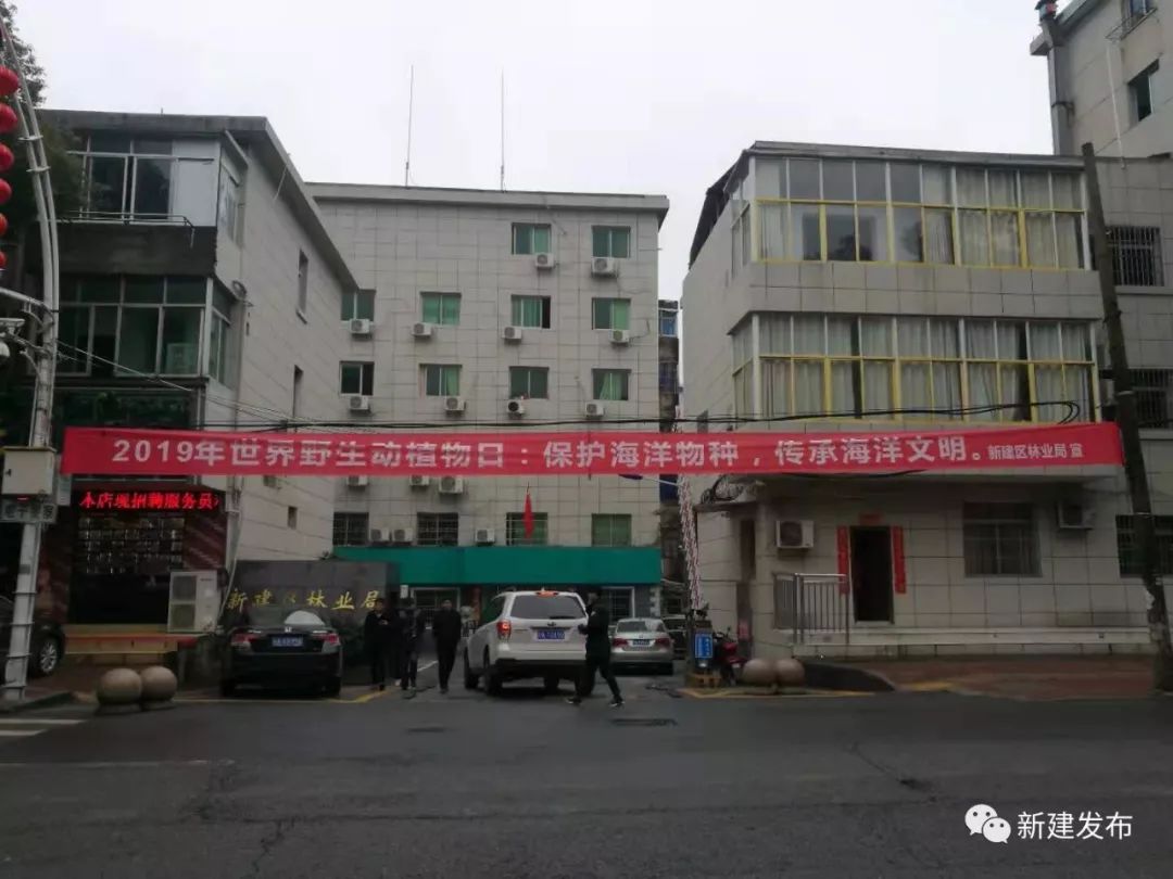 2019年3月5日新闻重播,2020年3月5日上海早晨新闻