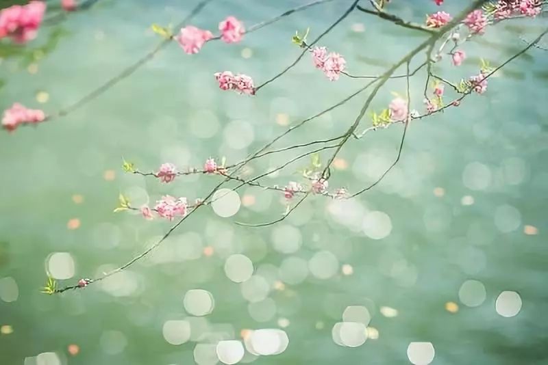 欣赏一个人始于颜值久于善良人品,美文始于颜值陷于才华忠于人品