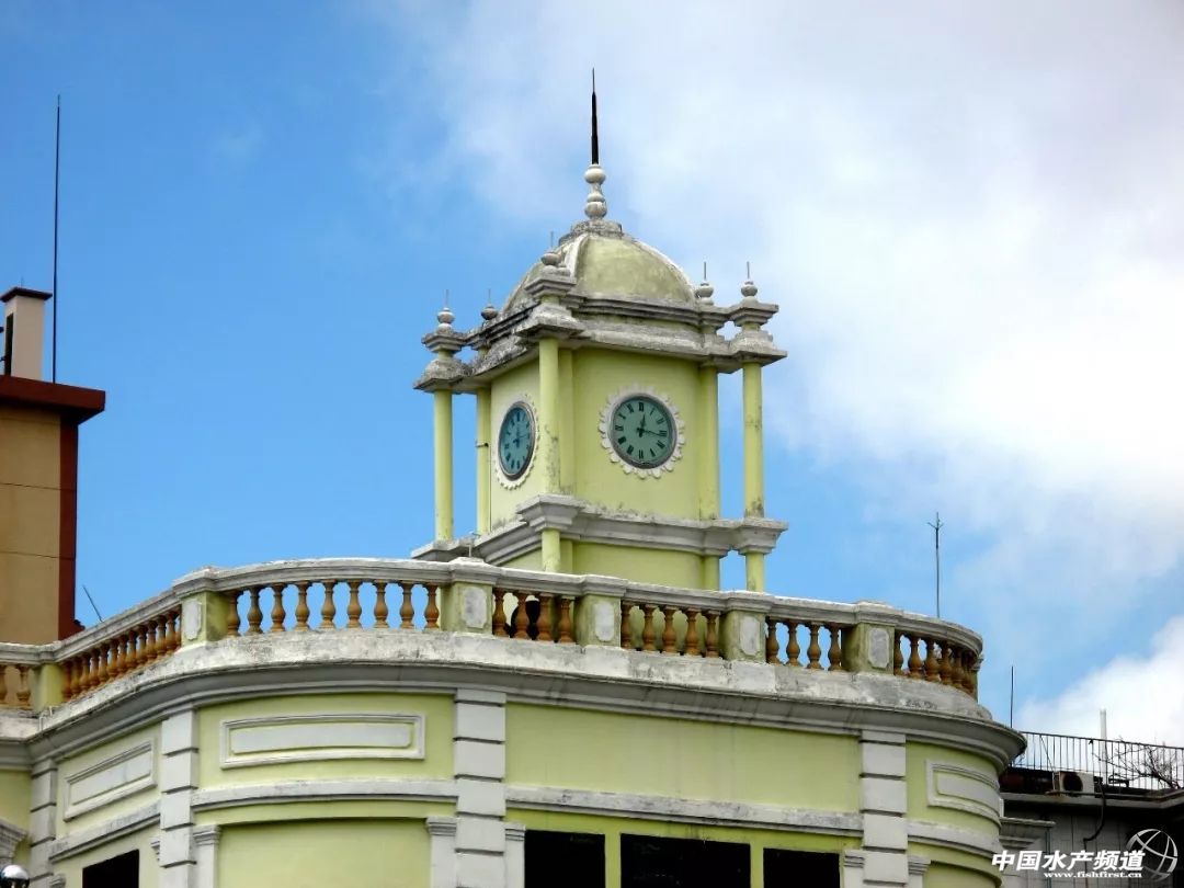 湛江最实惠的海鲜街,湛江草潭镇海鲜攻略