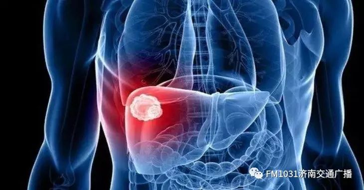 春季养生清肝食物大全图片,春天清肝火明目的食物