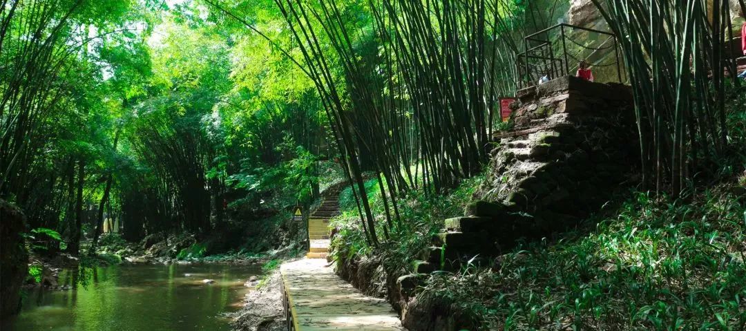 川西竹海玻璃栈道,川西竹海峡谷高空玻璃栈道