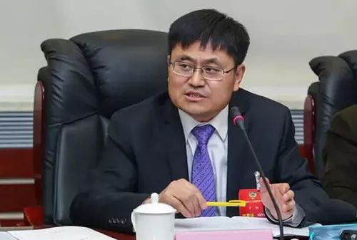 全国政协委员、华能集团舒印彪：能源转型不可逆转，华能一定要迎头赶上