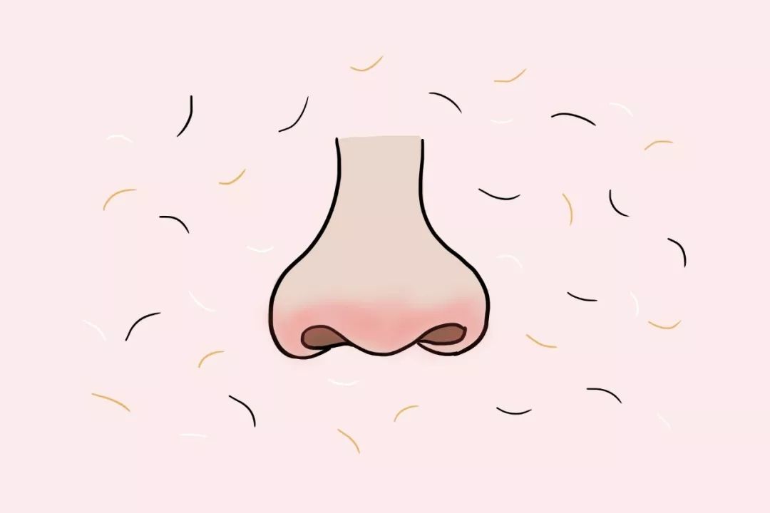 辟谣特工队,猫毛狗毛会被吸入肺吗