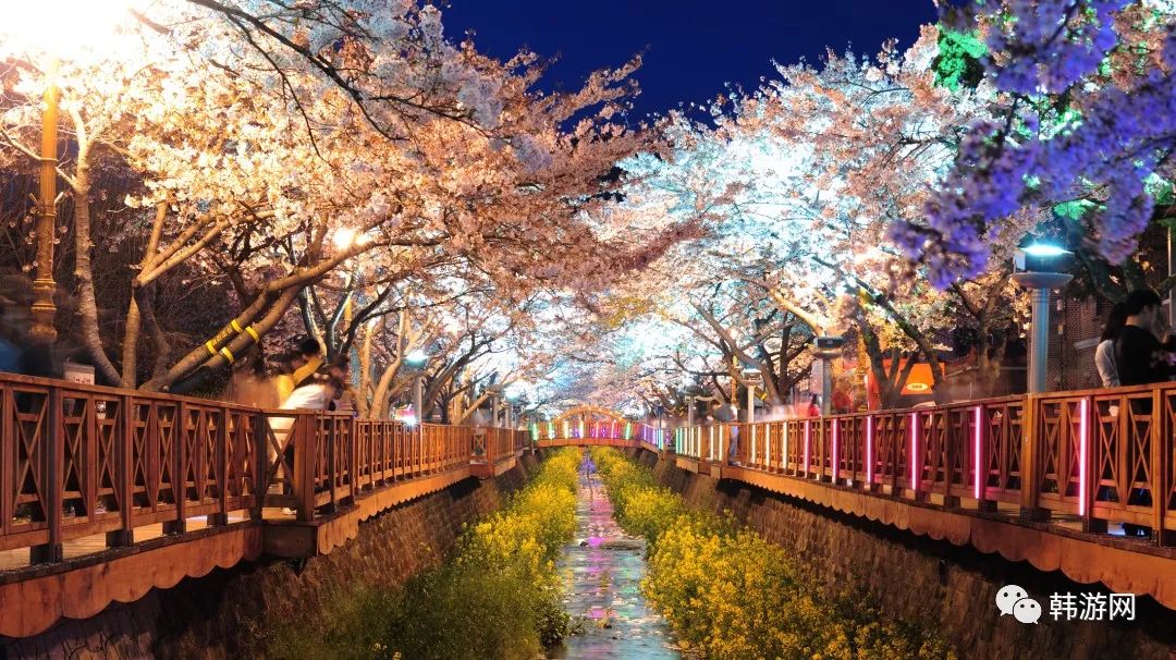 济州岛最美民宿,济州岛超美民宿