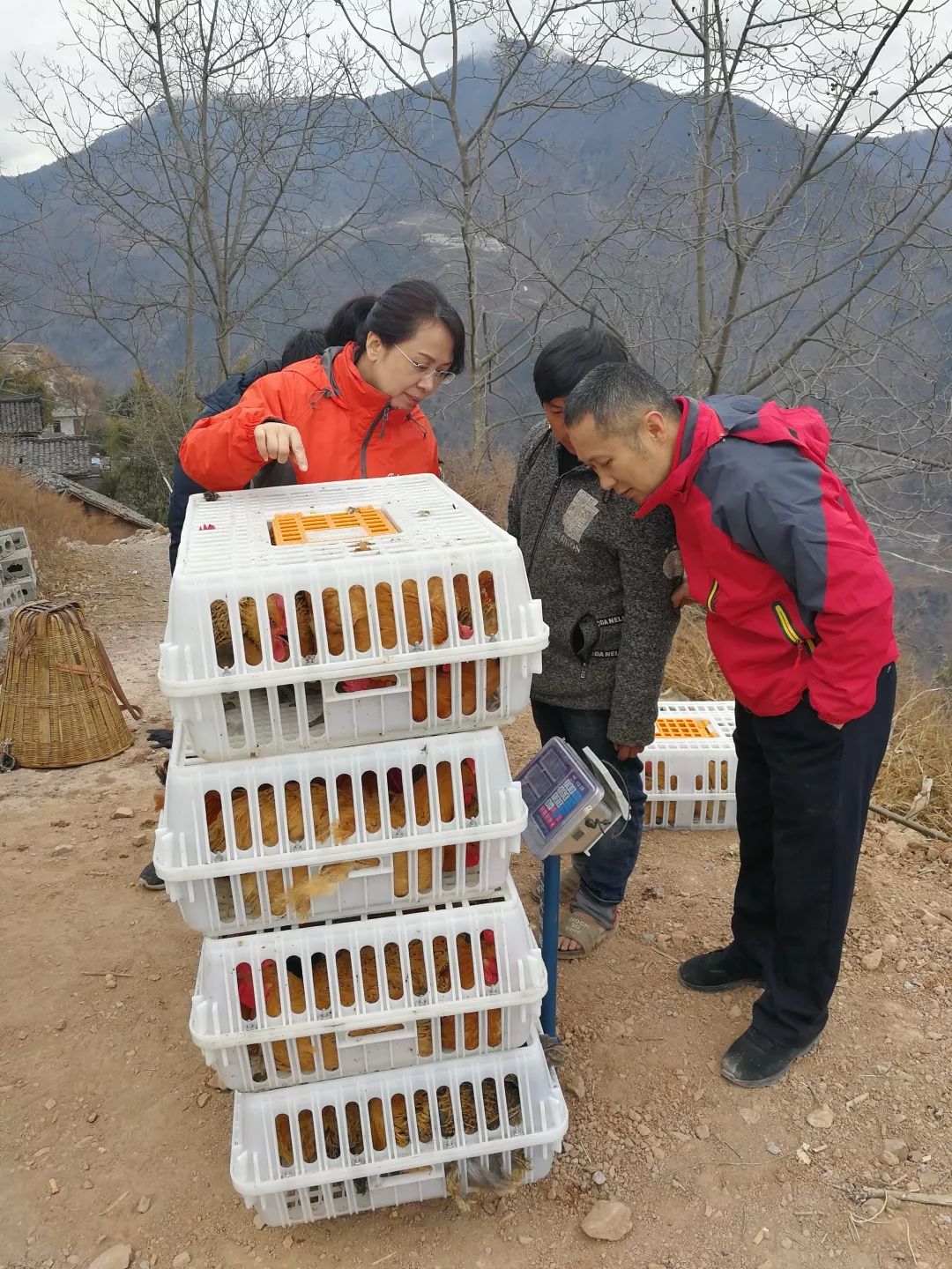 扶贫进行时——从“三大新变化”看成都病犯监狱扶贫之路