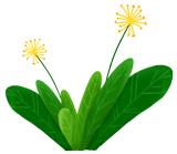 泗阳免费筛查两癌时间,农村免费妇女两癌筛查宣传