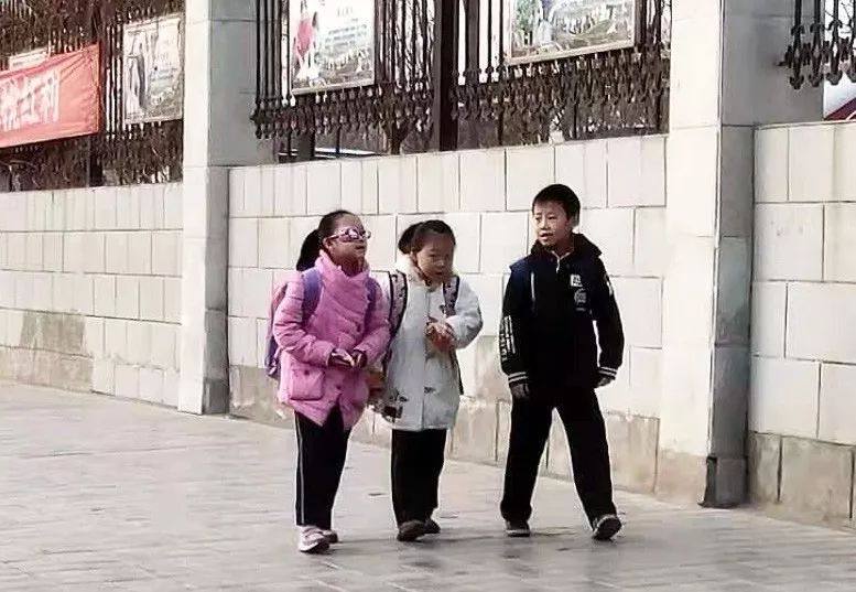 甘肃省嘉峪关市小学报名划片,嘉峪关义务教育划片区