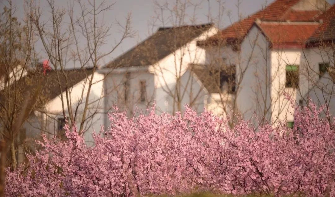 “女神节”福利!上海这些地方半价、免费,还有精彩活动!姐姐妹妹约起来啦