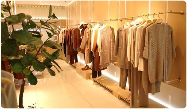 橄榄生长省份,橄榄生长在土里么