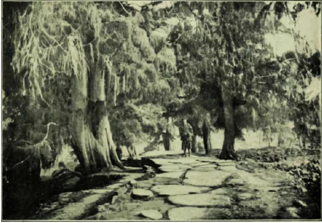 方志四川记忆,方志四川历史视频