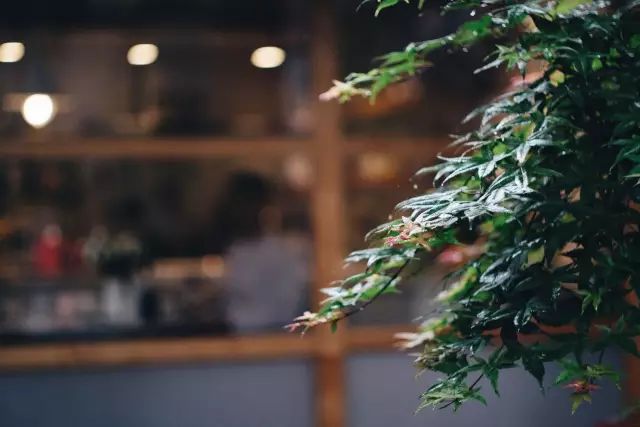 一家三口单间房屋改造,40平米出租屋改造