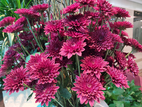 魅族note9上手小评,魅族note9配置传闻