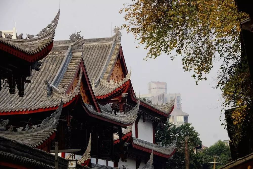 3月花期将至,人均200拿下隐居旗下成都地标旁酒店,一天5顿不重样!