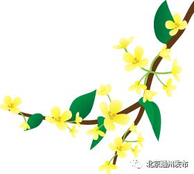 通州建大公园规划图,通州大公园