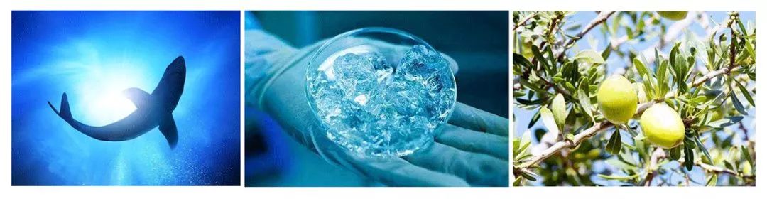 最好的祛皱眼霜,真正祛皱的眼霜