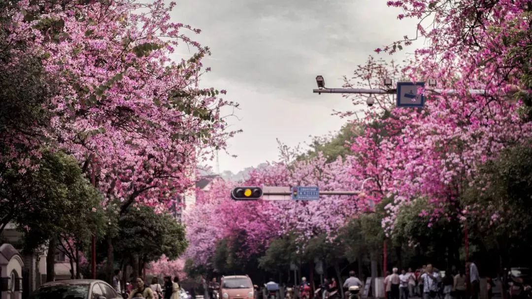 广西有座小城,广西隐藏千年小城