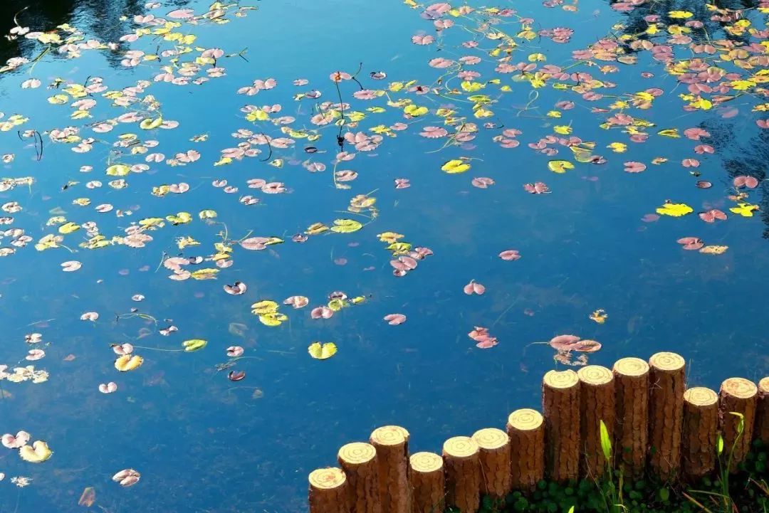 广西有座小城,广西隐藏千年小城