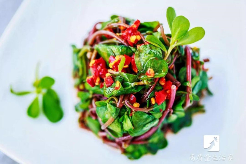 春天里要吃的四大黄金野菜,春天不可辜负的六种野菜