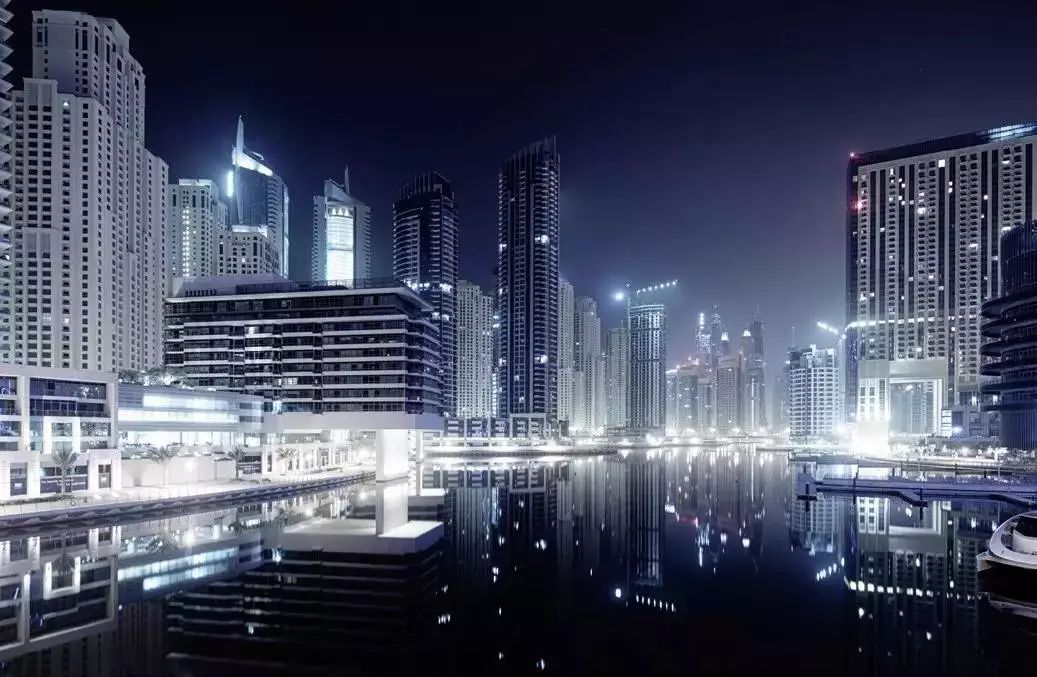 迪拜商务考察团,阿拉伯代表团