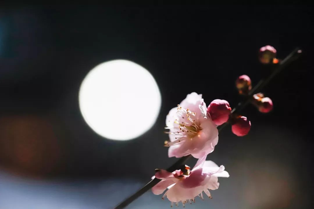 腾讯、联通、新东方都准备来华师“抢人”,本周就业讲座通知汇总,赶紧安排一下!