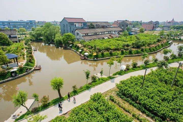 美丽乡村繁花似锦,美丽乡村风景如画