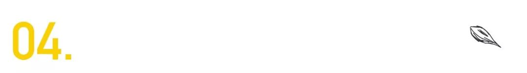 这档9.6分的神综艺，“*窥偷**”了1000万社畜最狼狈的样子