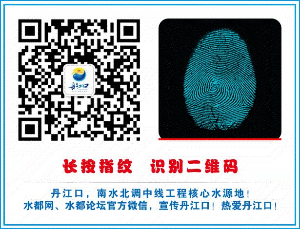 十堰武术冠军,湖北省青少年武术锦标赛十堰