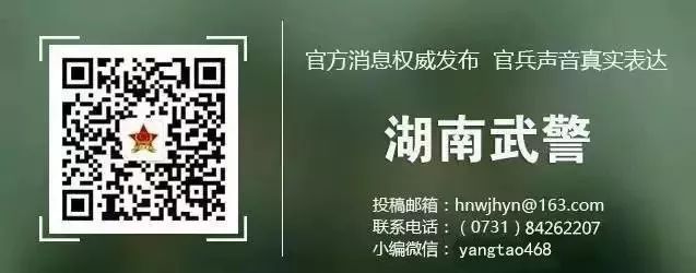 篮球有关的美文,有关篮球与青春的诗