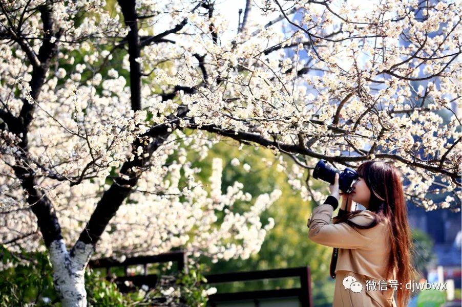 早安芜湖图片,早安芜湖