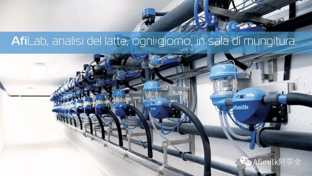 奶牛泌乳期曲线的绘制与分析,奶牛泌乳曲线图的绘制与分析