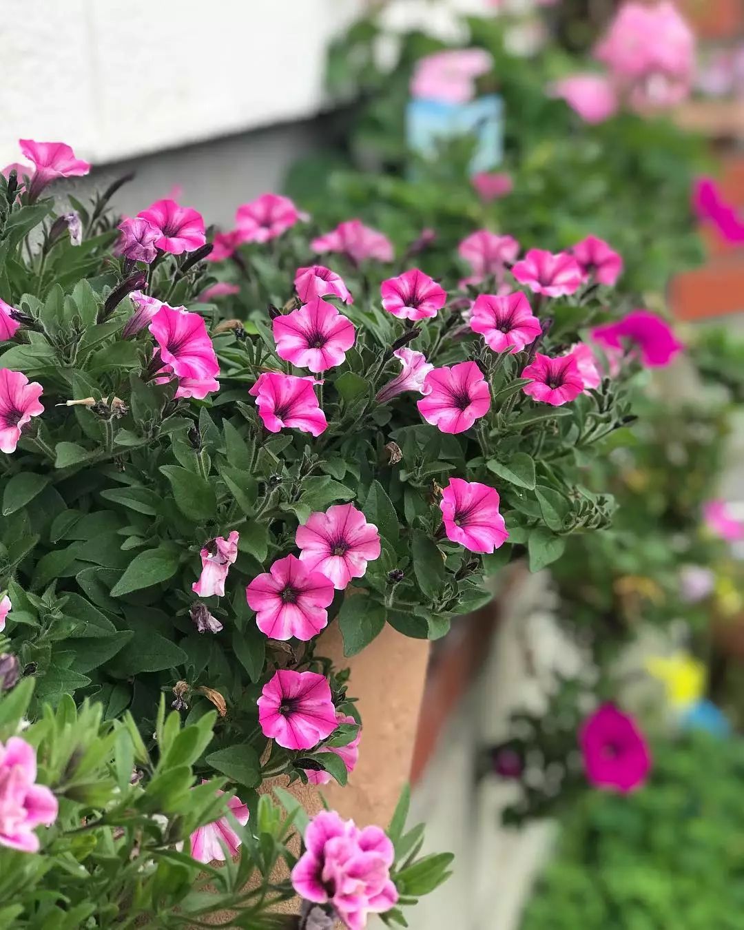 3种方法来辨别真假朋友,三个方面判断骗局