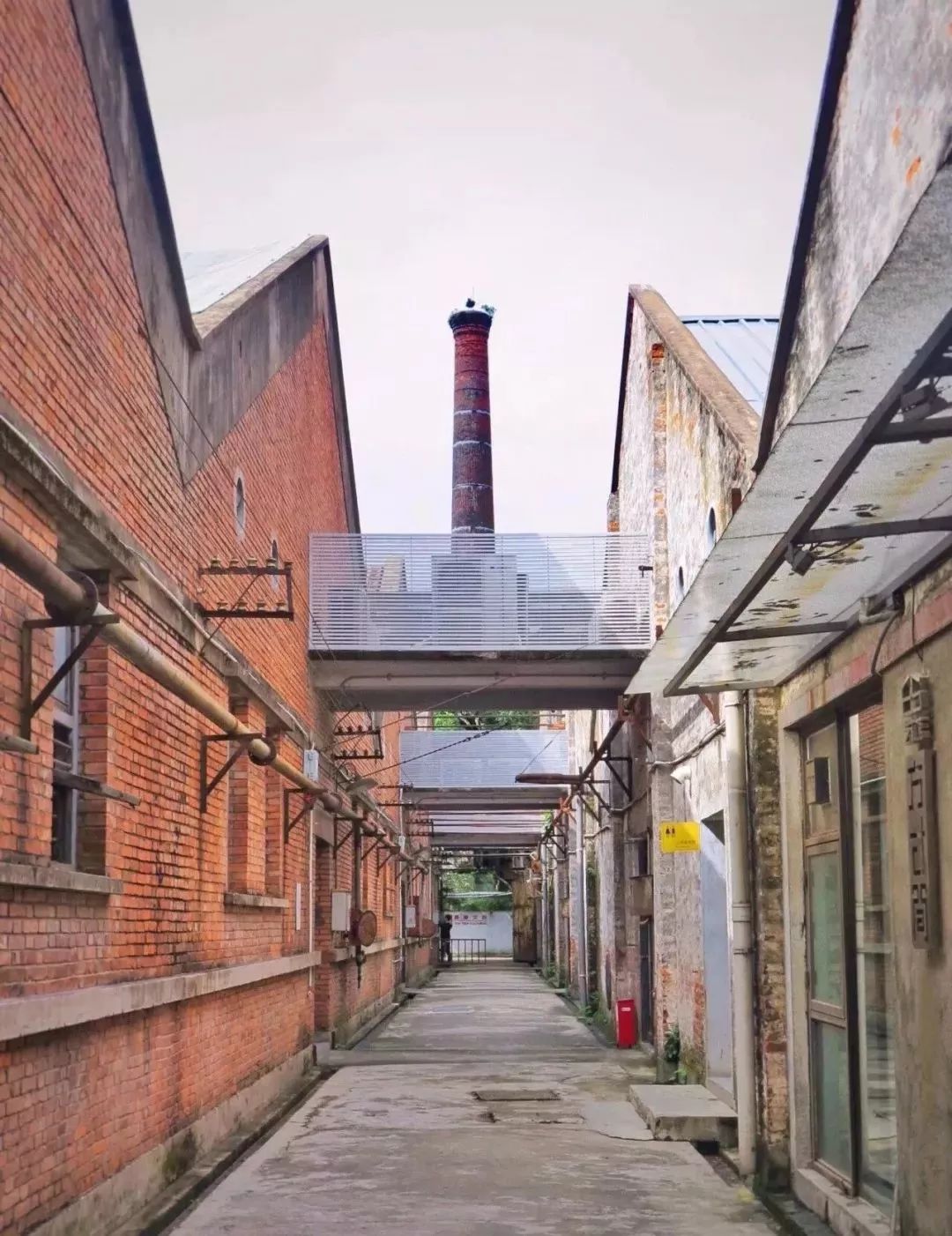 广州适合春游的免费景点,春游广州最适合去的地方