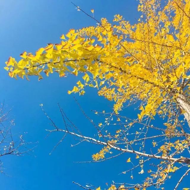 瓷器买哪的好价格便宜,一百元能买到什么瓷器