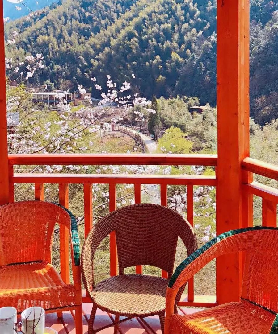 五一五府山蜜蜂谷,春游五龙山