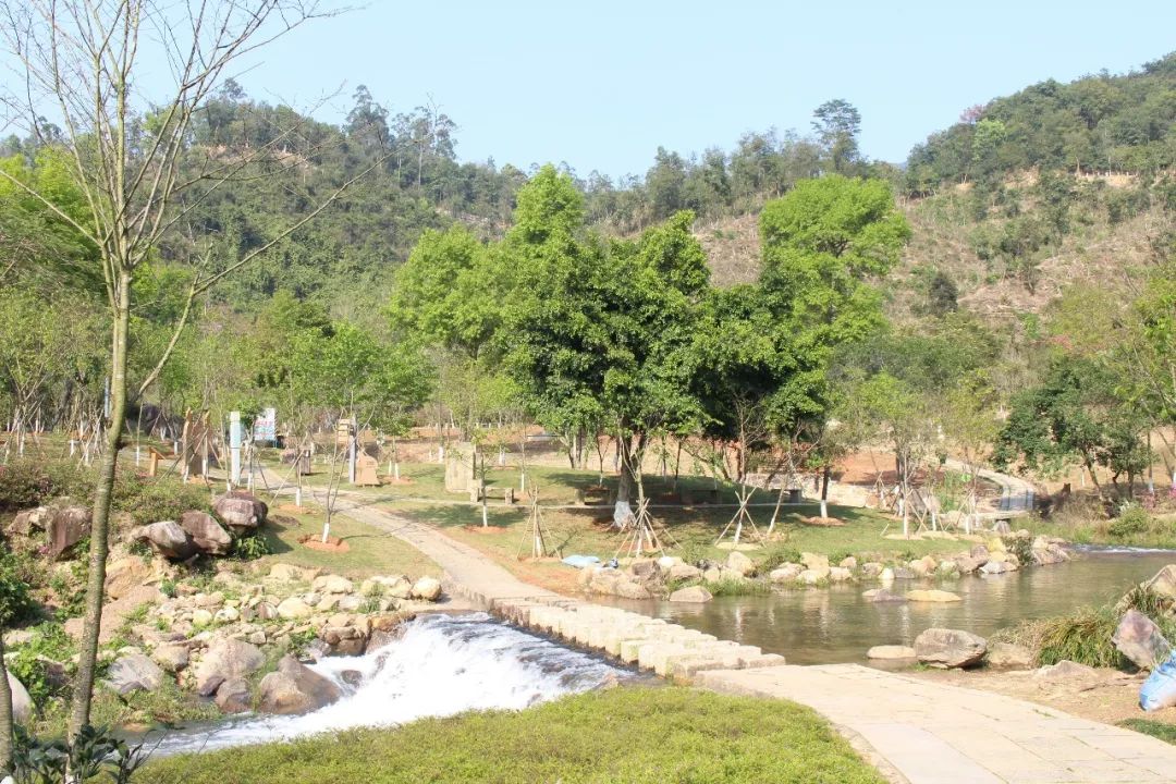 适合踏春的景点厦门,厦门春季旅游攻略